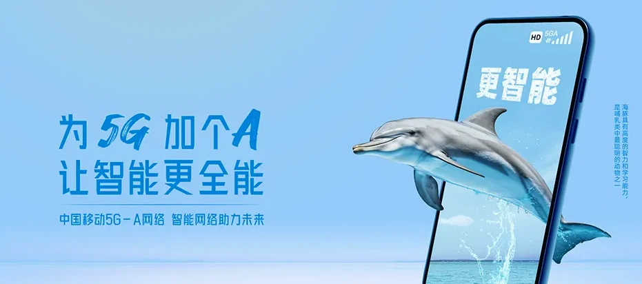 东洲区东洲区章党街道 移动宽带